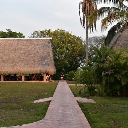 Savanna Orinoquia Lodge Orocué Dış mekan fotoğraf