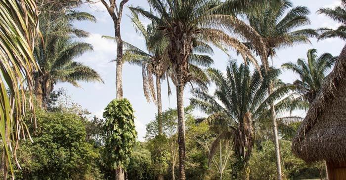 Savanna Orinoquia Lodge Orocué Dış mekan fotoğraf